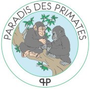 Parais des primate