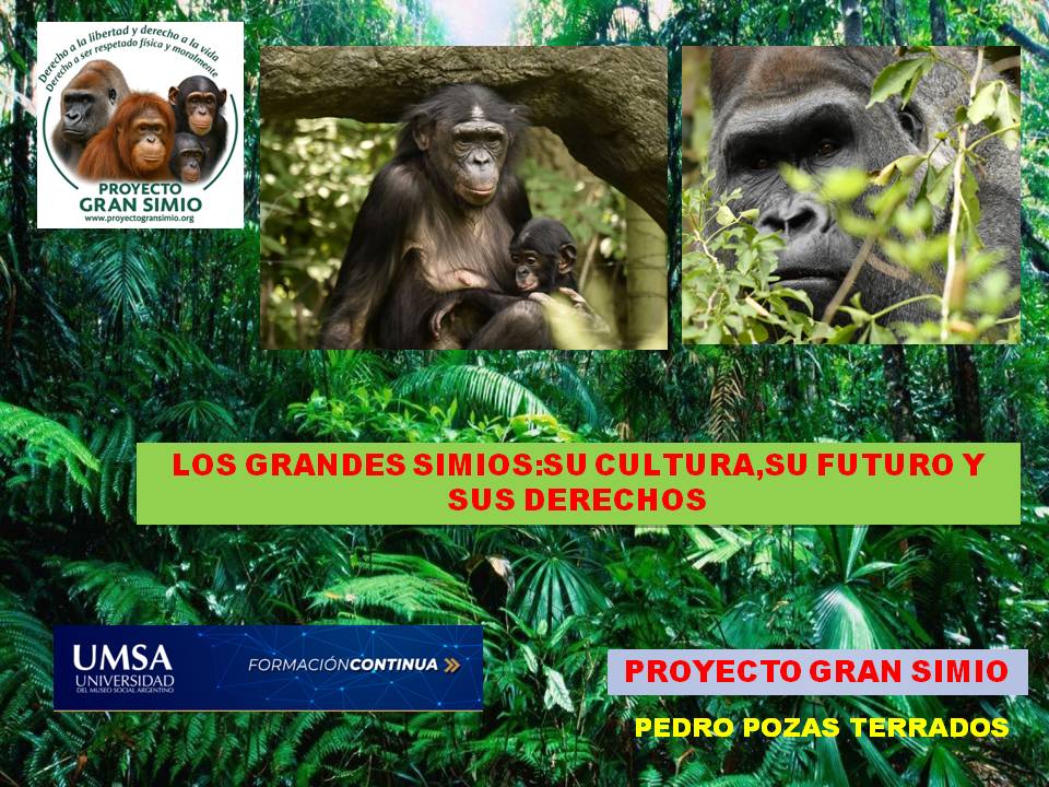 Clase Diplomatura sobre Grandes Simios
