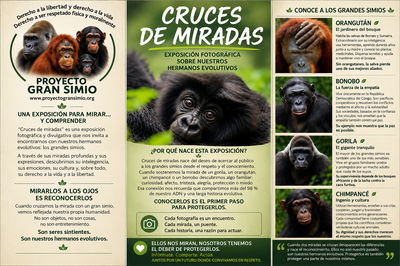 Cruces de miradas. Exposición abierta.