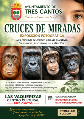 Cruces de miradas