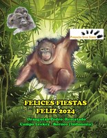 Felices fiestas y Feliz año 2024