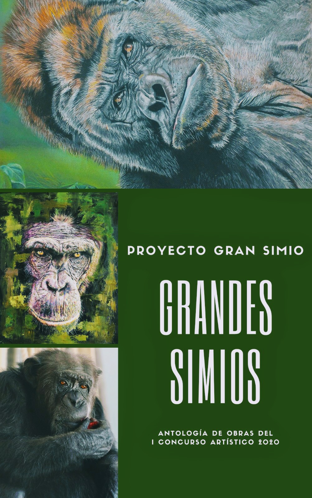 Finalizado el Primer concurso artístico sobre los Grandes Simios con una extensa participación de diferentes países.