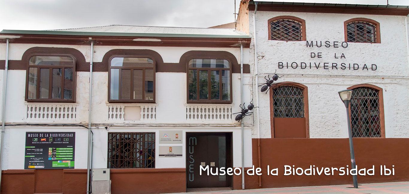 MUSEO DE LA BIODIVERSIDAD.  PROYECTO GRAN SIMIO COLABORA CON EL MUSEO. UN ESPACIO IMPORTANTE PARA VISITAR Y APRENDER LO QUE ES DE TODOS Y DEBEMOS CUIDAR. SITUADO EN IBI (ALICANTE).