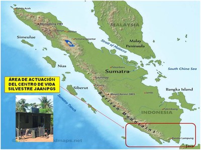 PROYECTO GRAN SIMIO FINANCIA LOS AEROGENERADORES QUE DAN ENERGÍA AL CENTRO DE RESCATE SITUADO AL SUR DE SUMATRA