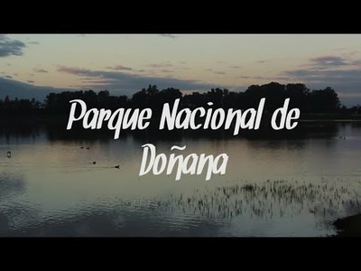 Parque Nacional de Doñana