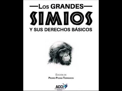 Entrevista realizada al Licenciado Pedro Pozas Terrado - Presidente de Proyecto Gran Simio